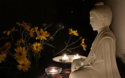 Online Buddhist Meditation Course
